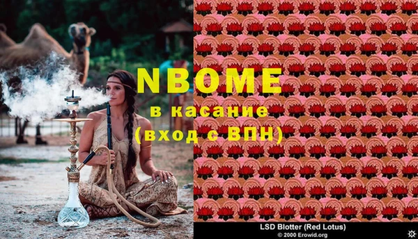 прущие крисы Балахна