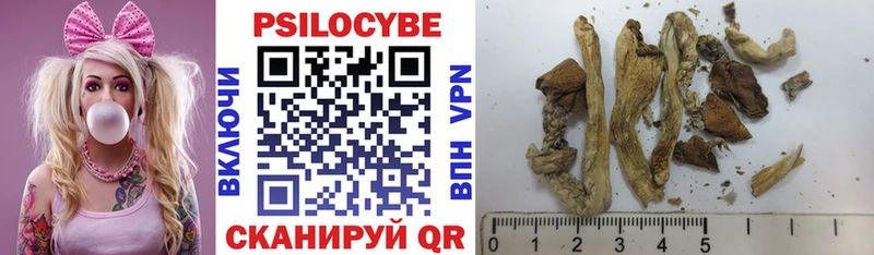 Галлюциногенные грибы GOLDEN TEACHER  Теберда 
